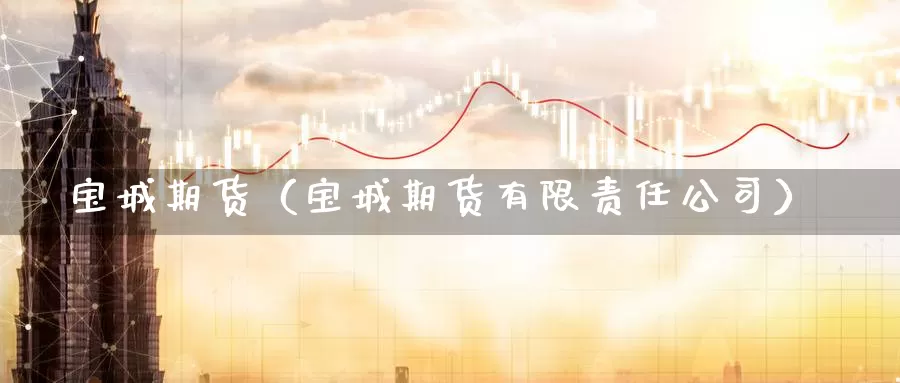 宝城期货（宝城期货有限责任公司）_https://www.mklhrh.com_原油期货直播网_第1张